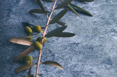 Olive branches in blue stone background Foto stock