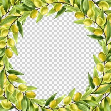 Olive branches with green fruit. Round frame made of olive branches and berries. Иллюстрация