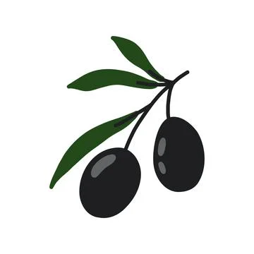Olive branches. Hand drawn illustration Stock Illustration
