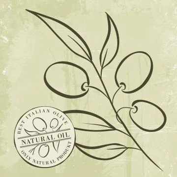 Olive Branches Stock Illustration