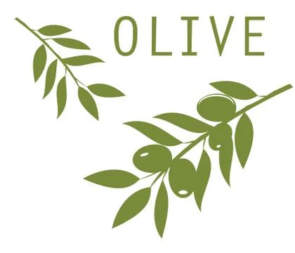 Olive branches Stock Illustration