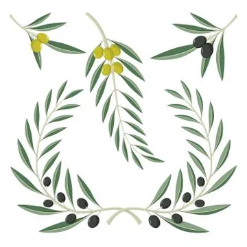 Olive branches Stock Illustration