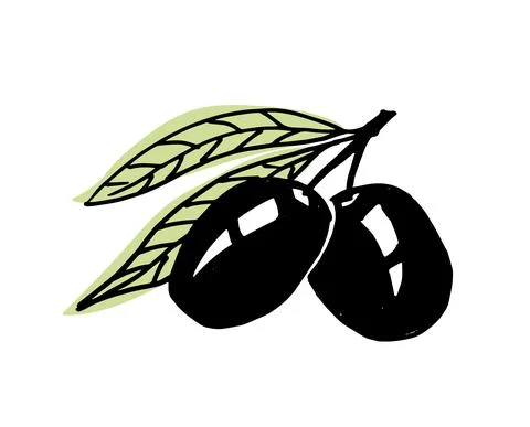 Olive branches Illustrazione stock