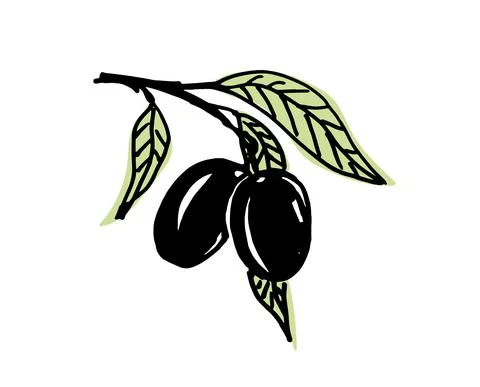 Olive branches Stock Illustration