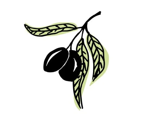 Olive branches Stock Illustration