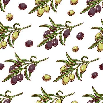 Olive branches Stock Illustration