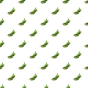 Olive branches seamless pattern on white background Illustrazione stock