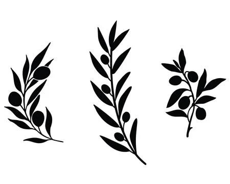 OLIVE BRANCHES SILHOUETTE Stock Illustration