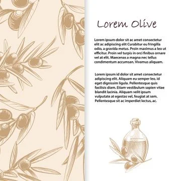 Olive branches vector banner template and poster Stock Illustration