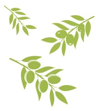 Olive Branches Vector Stock Illustration