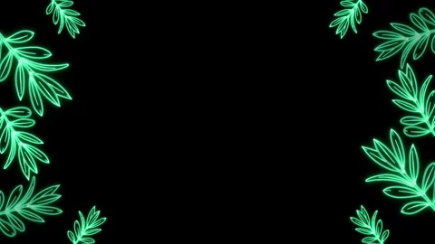 Olive Branchs 2 Sides Frame Stock-Footage 242096674