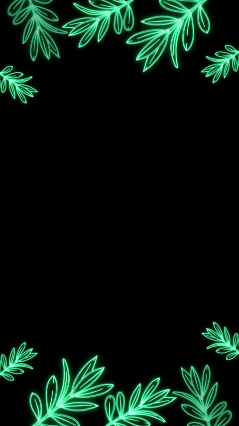 Olive Branchs 2 Sides Frame Stock Footage 273830810