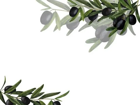 Olive brunch frame. Hand drawn watercolor composition for printing on cards.. Stock Illustration