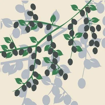 Olive brunch Olive brunch, vector art illustration Copyright: xZoonar.com/... Stock Photos