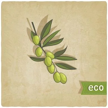 Olive eco background Stock Illustration