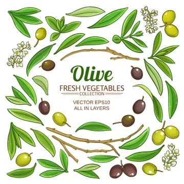 Olive elements vector set Stock Illustration
