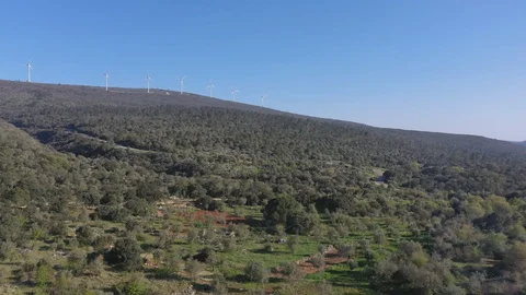 Olive field Stock Footage 128181023