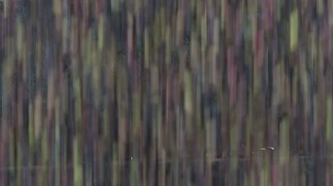 OLIVE FIELDS 7 Stock-Footage 987908