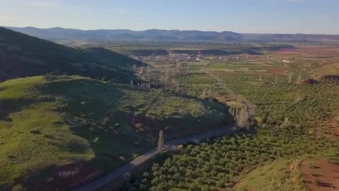 Olive fields sunset HD Video stock 237775822