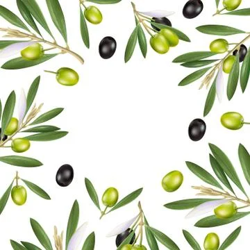 Olive frame of advertising posters, postcards, labels for products from olive Stock Illustration