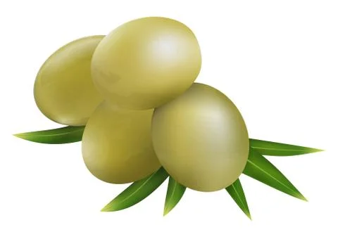 Olive fruit and olive leaves on a white background Stock-Illustration