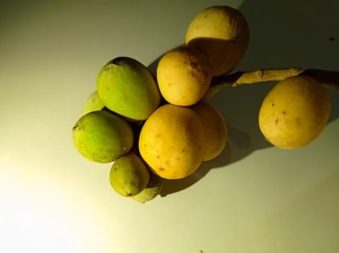 Olive fruit  ( langsat )on a white table with Stock Photos