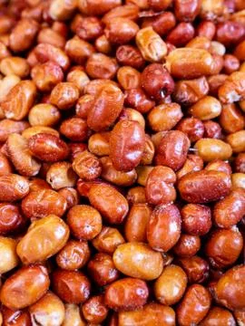Olive fruit oleaster, igde tree fruit, a valuable fruit for human health Stock Photos