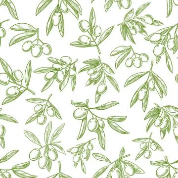 Olive fruit sketches seamless pattern background 스톡 일러스트