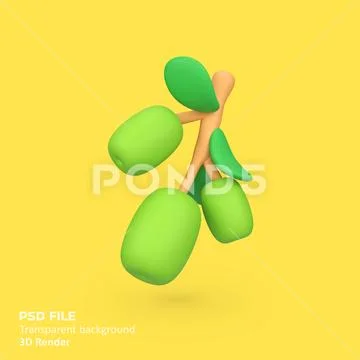 Olive fruits isolated 3d render icon illustration Modello PSD