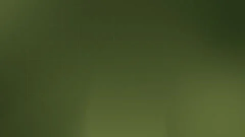 Olive green gradient background with subtle grain texture and grid lines, smooth Stock Footage 297914936