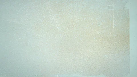 Olive Green Grunge Wall Texture With Dusty Worn Surface Stockbeeldmateriaal 335893867