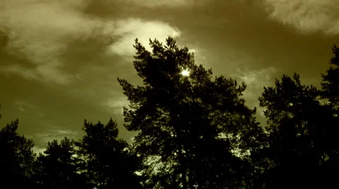Olive-green timelapse t1224D Stock Footage 1848513