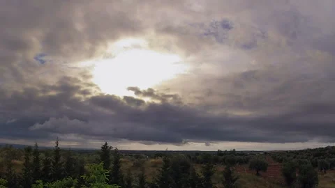 Olive grove and sunset timelapse Видео 106458768
