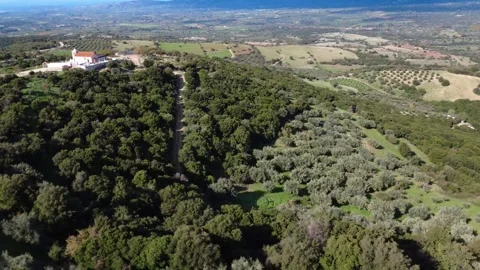 Olive grove below forest chapel on Mediterranean hillside Видео 343993891
