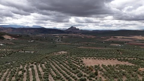 Olive Grove Farmland With Dramatic Cloudy Sky, Archidona, Spain Stock Footage 329290058