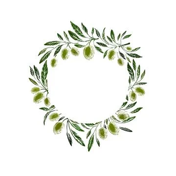 Olive grove. Green fruit. Vector texture wreath Stock Illustration