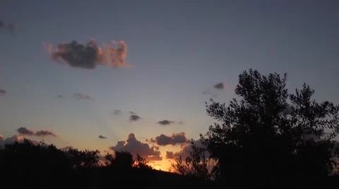 An olive grove at sunset Stock Footage 68612552