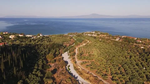 Olive Groves and Dry Riverbed by the Mediterranean Stock Footage 344047965