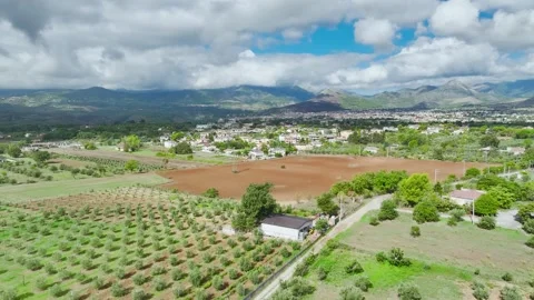 Olive groves and fields over Road E45, Castrovillari, Cosenza, Calabria, Italy Stock Footage 294952377