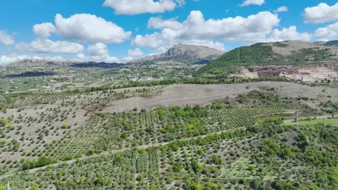 Olive groves and fields over Road E45, Castrovillari, Cosenza, Calabria, Italy Video stock 294952412
