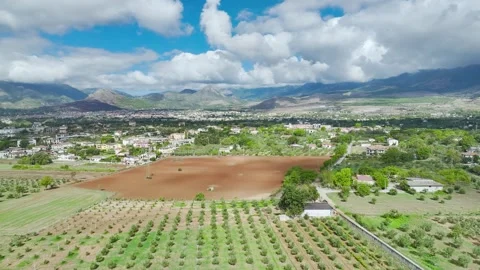 Olive groves and fields over Road E45, Castrovillari, Cosenza, Calabria, Italy Stockbeeldmateriaal 294952470