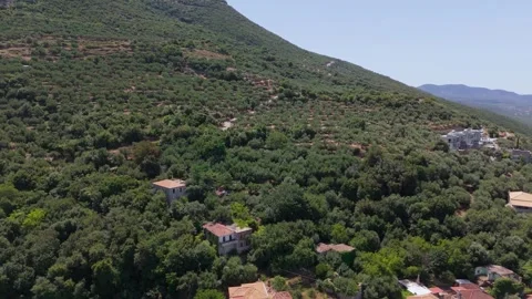 Olive Groves and Hillside Homes in Verga, Greece Stock Footage 343914775
