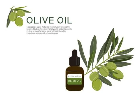 Olive herb vector isolated on white background ep01 Stock Illustration