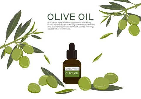 Olive herb vector isolated on white background ep02 Stock Illustration