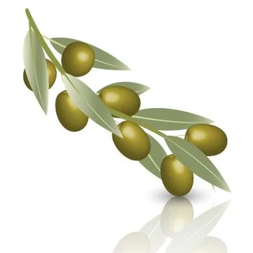 Olive Stock Illustration