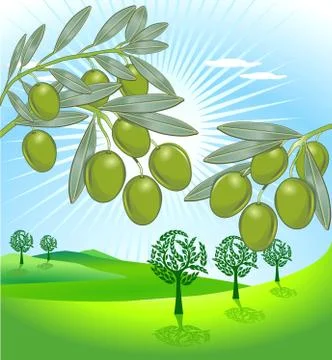 Olive Stock Illustration