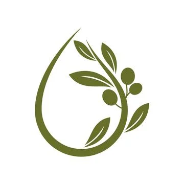 Olive illustration vector Illustration