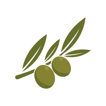 Olive illustration vector Stock Illustration