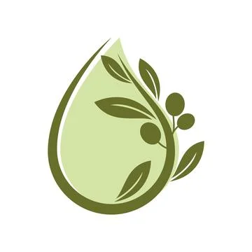 Olive illustration vector Illustration