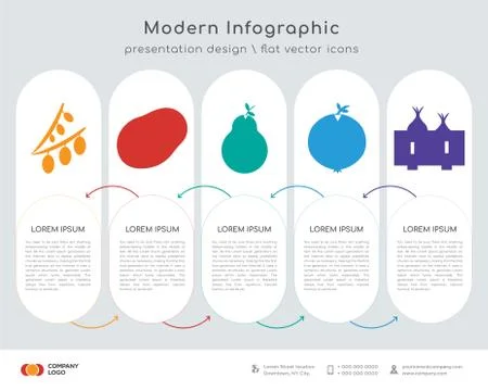 Olive infographics design Stock Illustration
